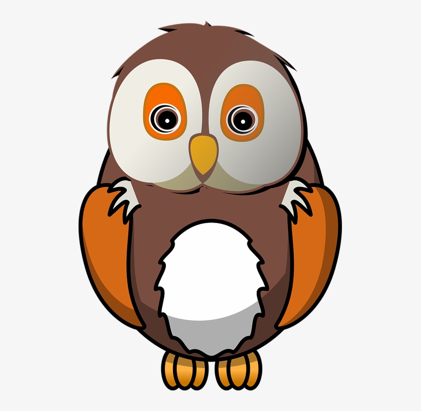 Bird, Owl, Animal, Cute, Nature, Sitting, Waiting - Owl Clipart Png, transparent png download