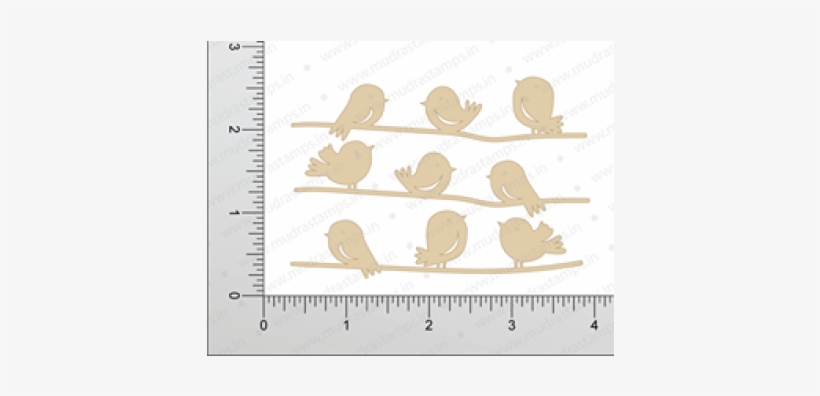 Bird, transparent png download