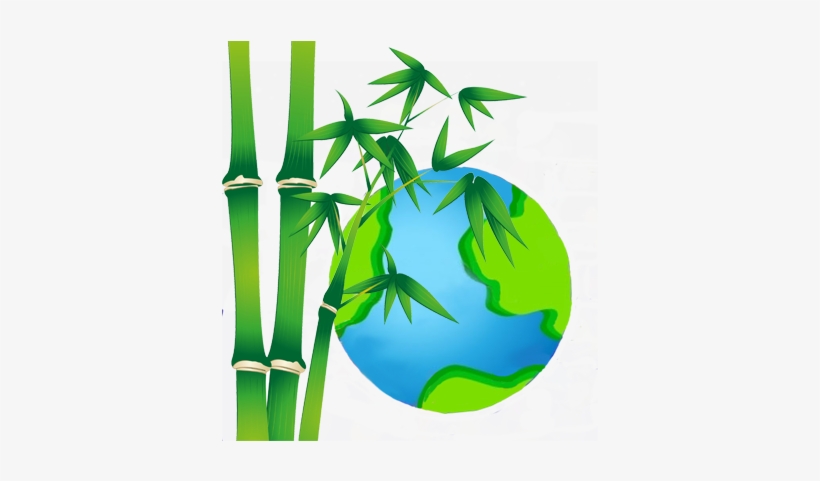 Bamboo, transparent png download