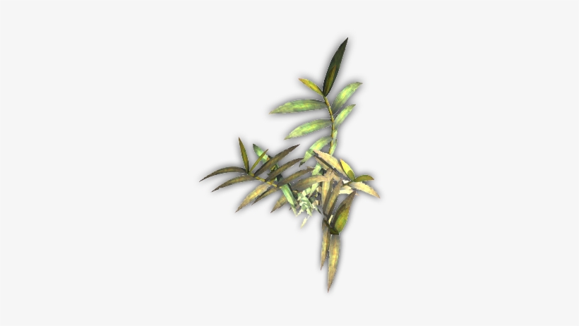 Dundjinni Bamboo, transparent png download