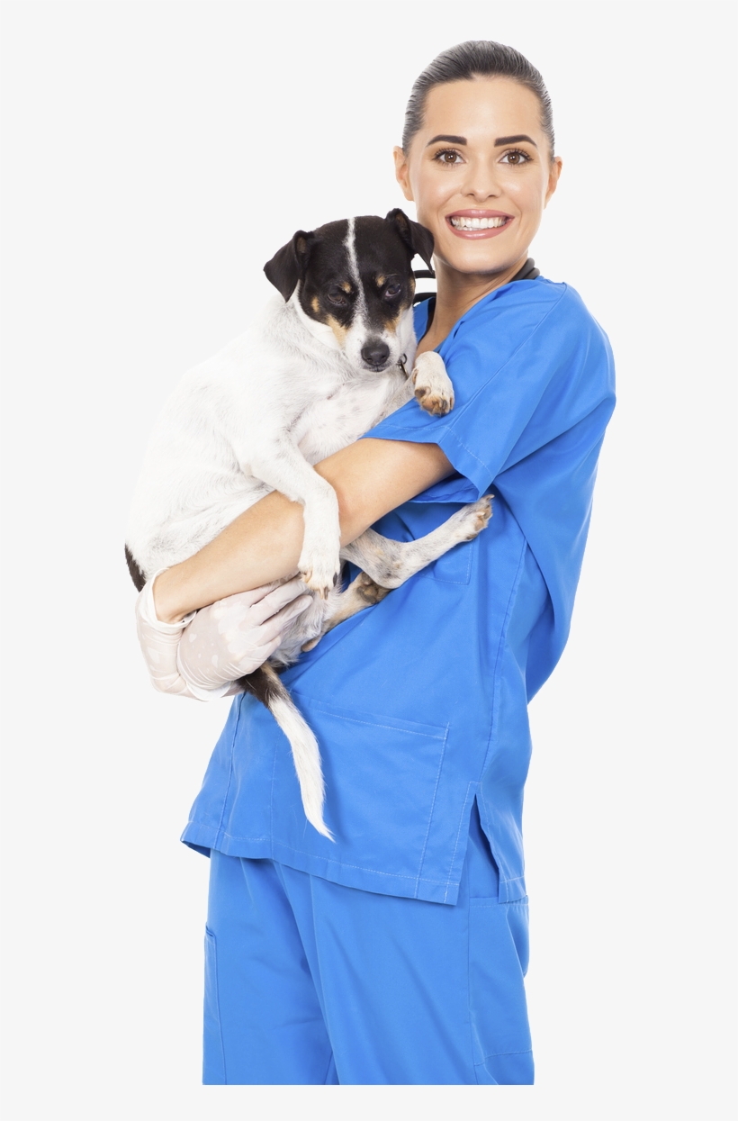 Read More - Veterinary And Dog Png, transparent png download
