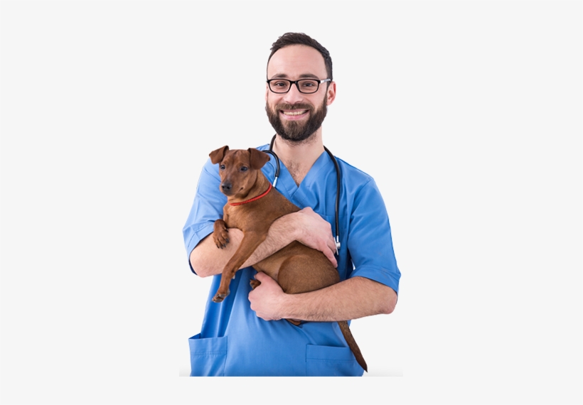 The Proof Is In The Performance - Man Vet, transparent png download