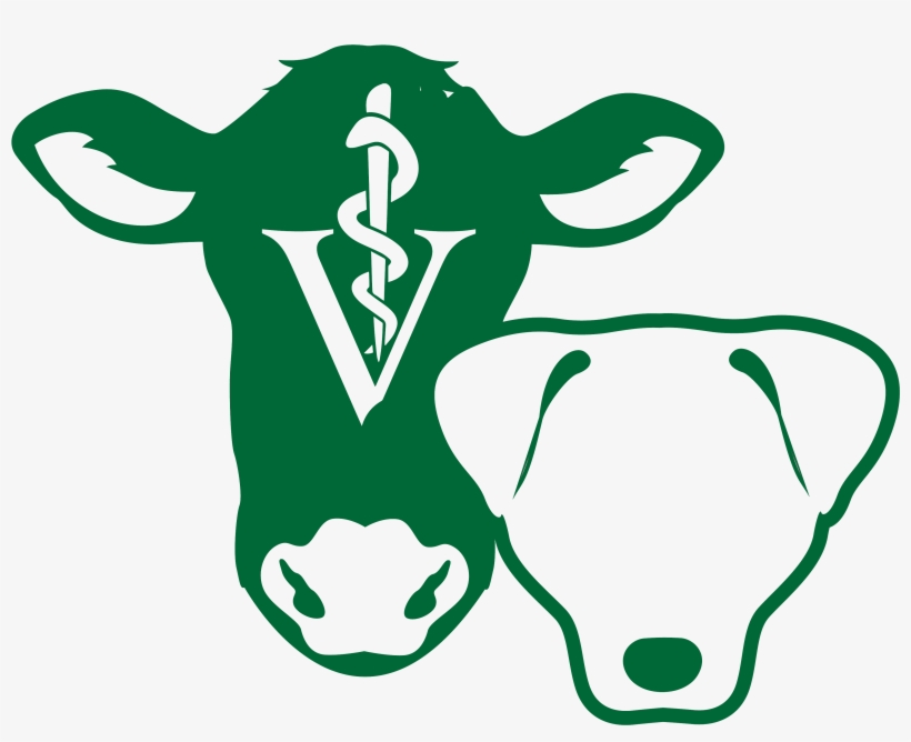 Image, transparent png download