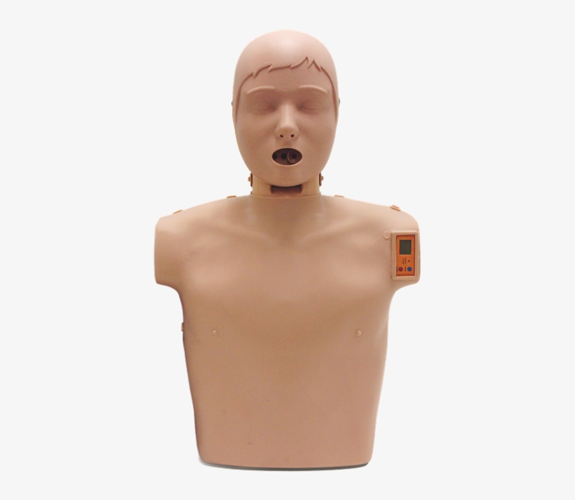 Sunny Cpr Manikin - Flashpoint Medical System Limited, transparent png download
