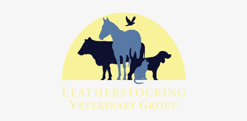 Logo - Leatherstocking Vet, transparent png download