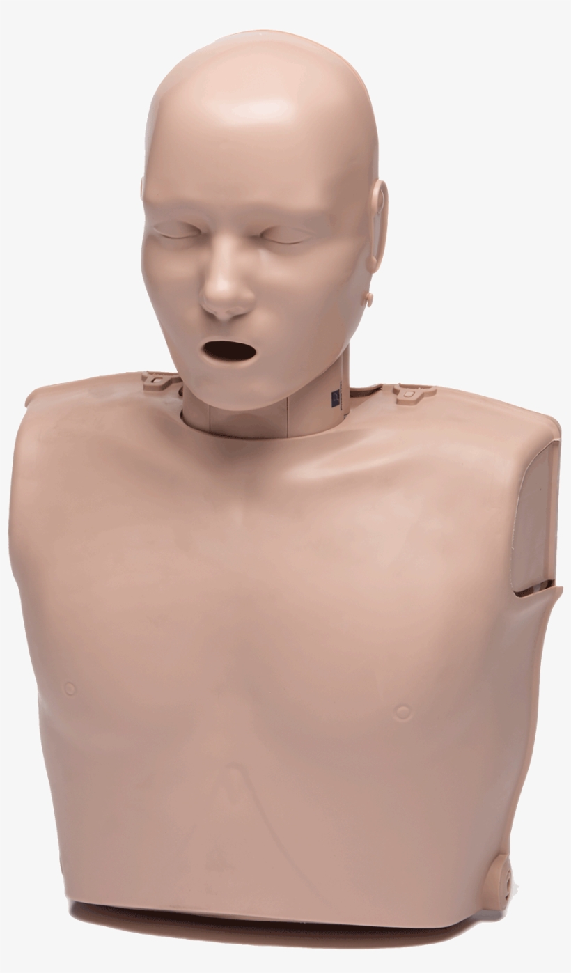 Arc Prestan Ultralite Manikin 4 Pack - Prestan Ultralite Manikin, transparent png download