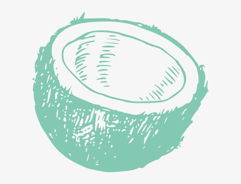 Coconut Line Art Png, transparent png download