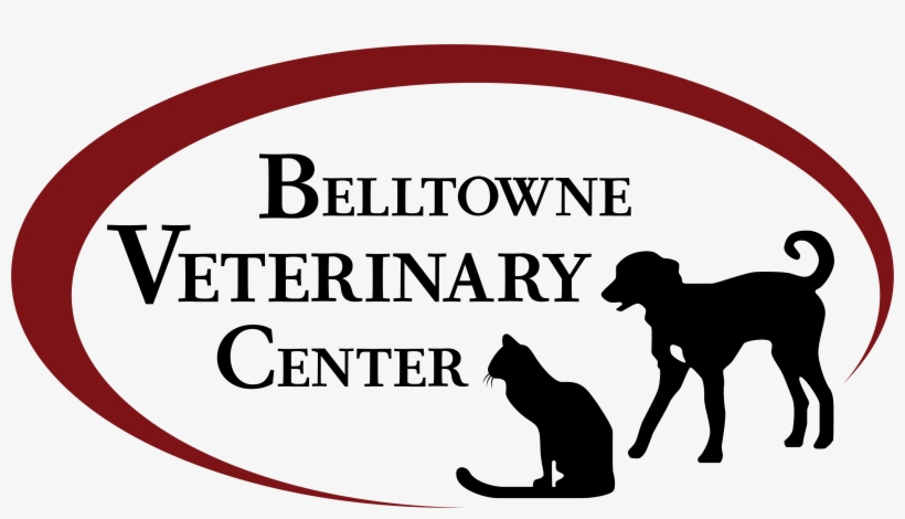 Belltowne Veterinary - Year Of The Dog - Traits Everyday Pillow, transparent png download