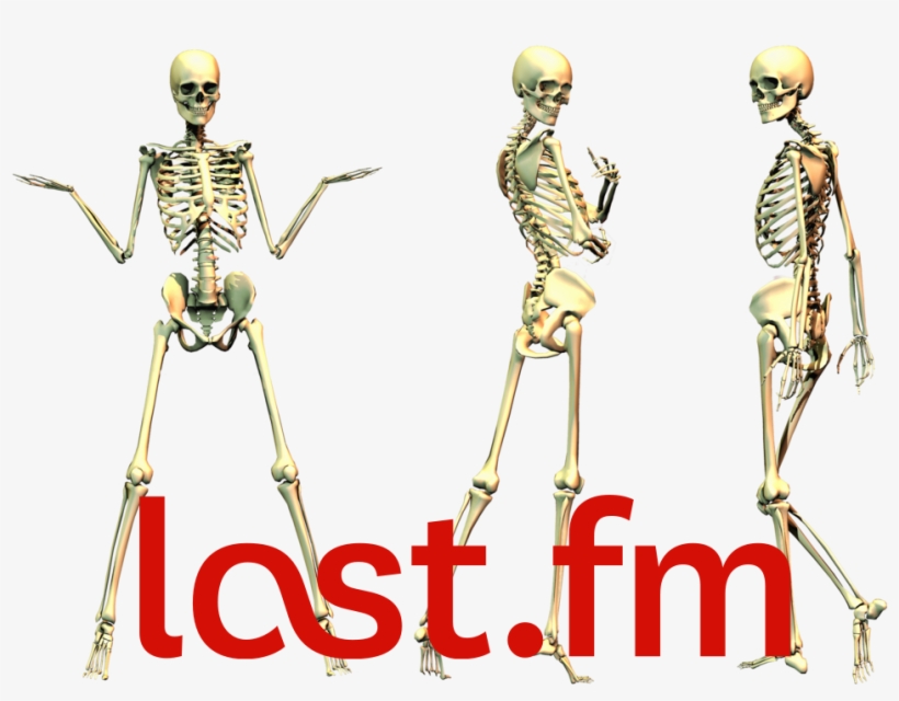 371kib, 1024x724, Spooke - Ossos Do Esqueleto Humano, transparent png download