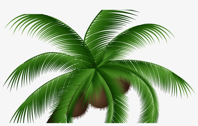 Coconut Clipart Coconet - Coconut Png, transparent png download