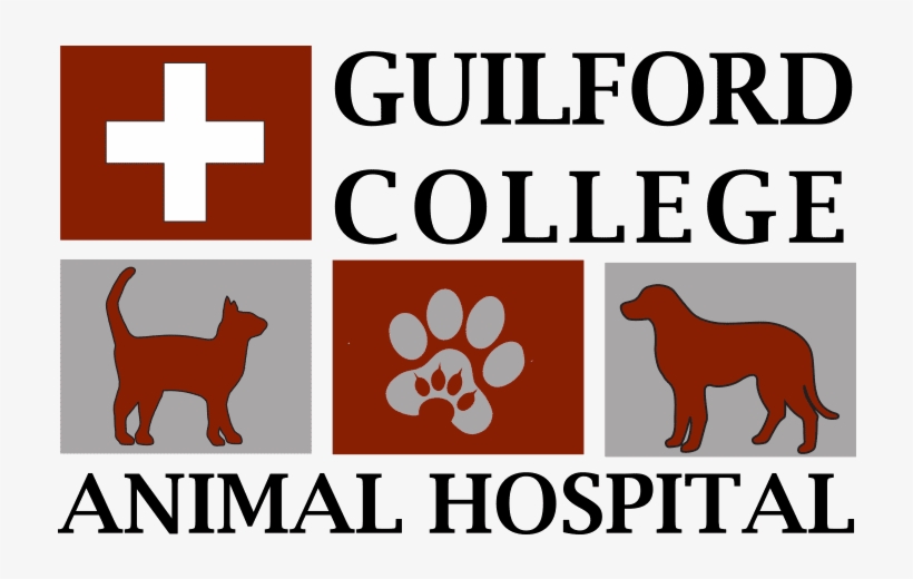 Veterinarian Colleges, transparent png download