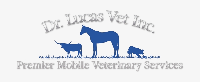 Lucas, Victoria, transparent png download