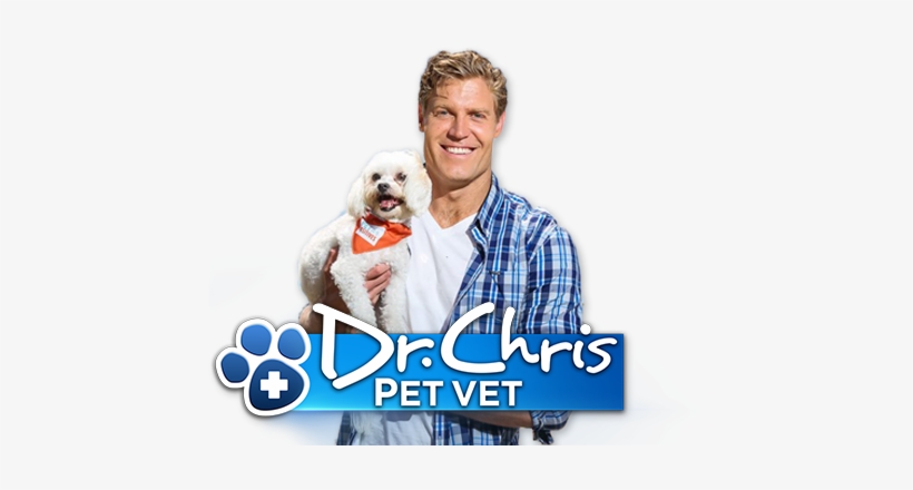 Chris Pet Vet - Companion Dog, transparent png download