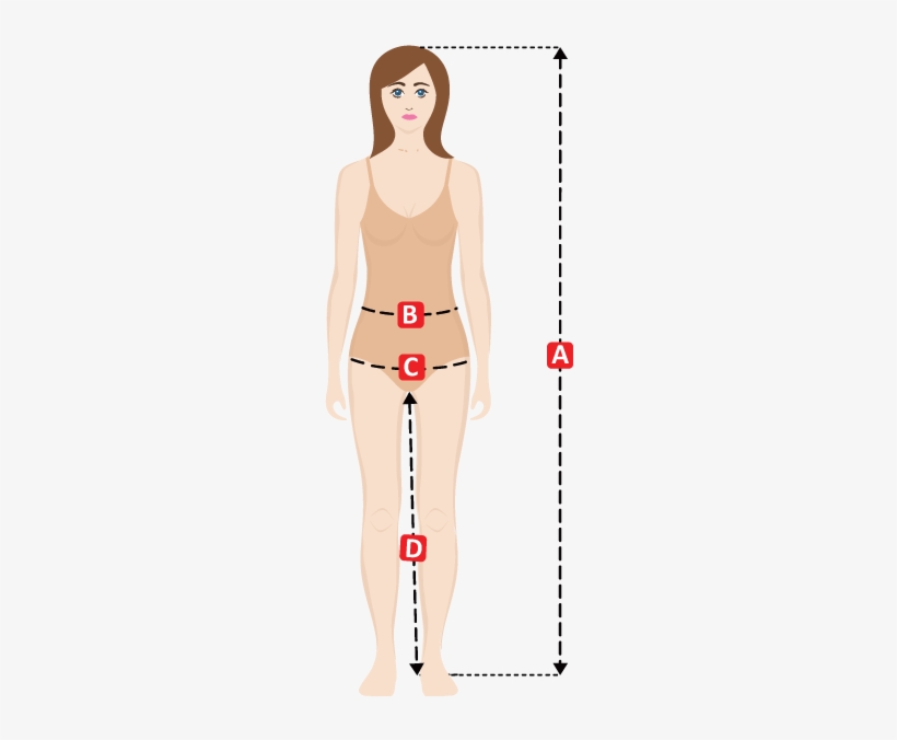 Women Pant / Chap Size Guide - Illustration, transparent png download