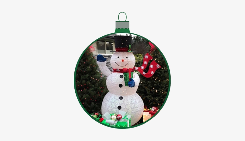 Real Christmas Tree Our Products And Pricing - The Tree Wisemans, transparent png download