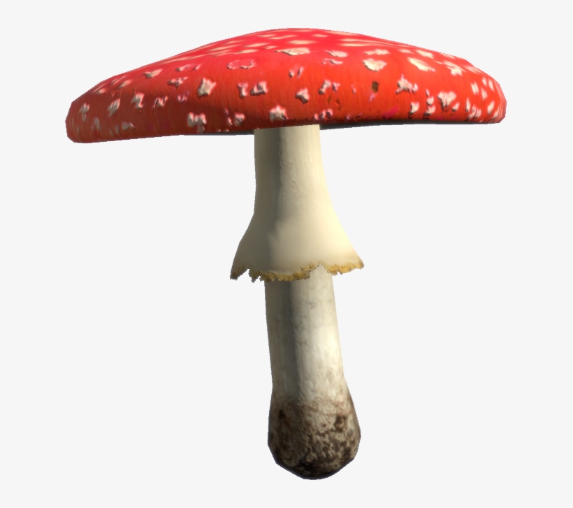 Amanita Png, transparent png download