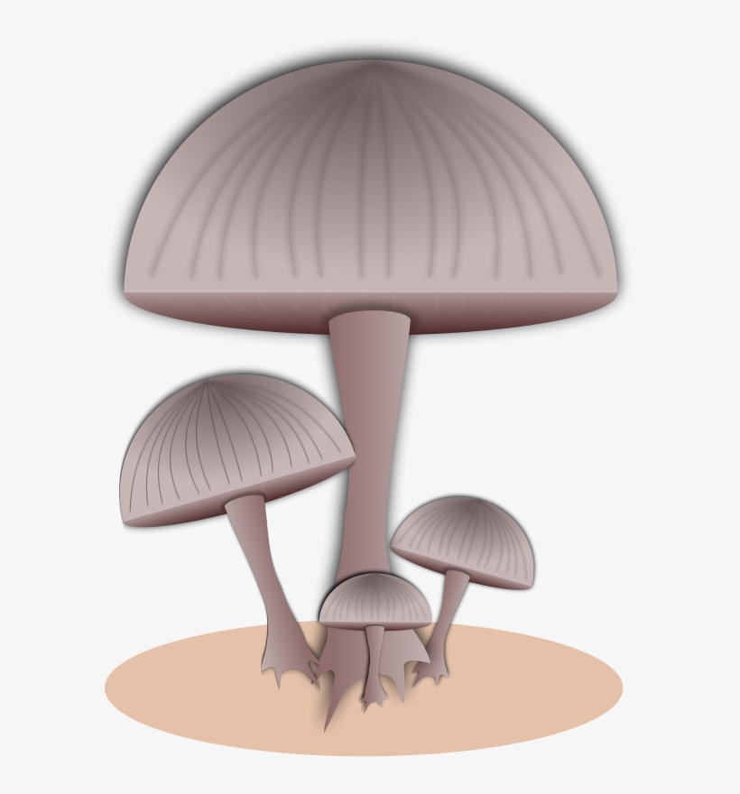 Toadstool - Toad - Mushroom, transparent png download