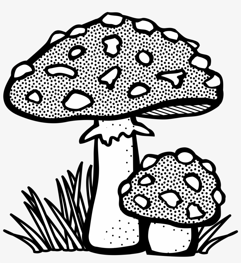 This Free Icons Png Design Of Toadstool, transparent png download