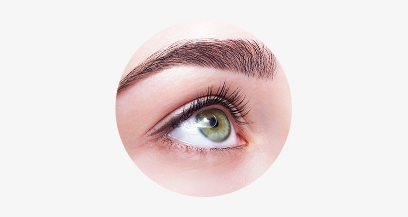 Microblading Eyebrows Nottingham, transparent png download