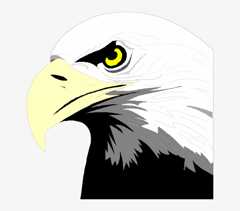 Bald Eagle Head Clip Art Transparent PNG - 594x596 - Free Download on