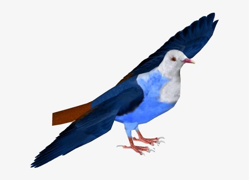 Mauritius Blue Pigeon, transparent png download