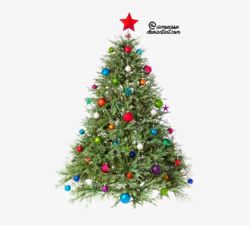 Christmas Tree Png Clipart - Christmas Tree Png Transparent, transparent png download