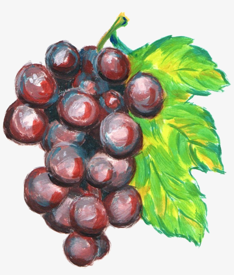 Grapes Drawing Watercolor - Watercolor Grapes Png, transparent png download