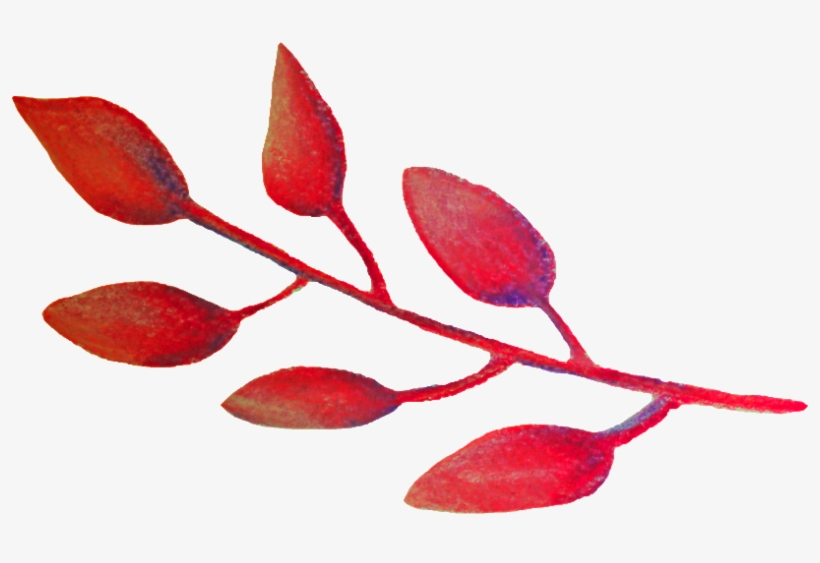 This Backgrounds Is Watercolor Fruit Transparent Decorative - Watercolor Painting, transparent png download