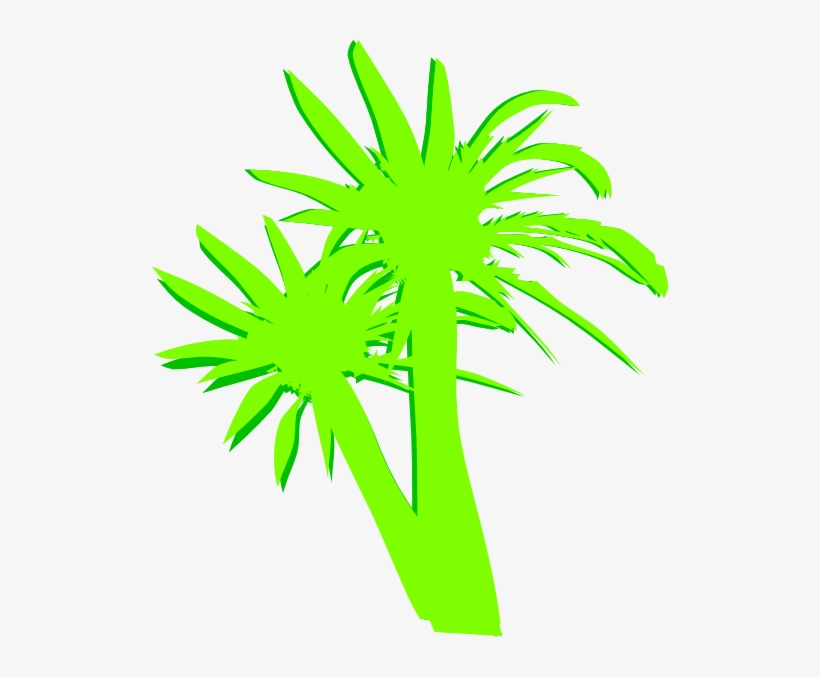 How To Set Use 2 Palm Trees Clipart, transparent png download