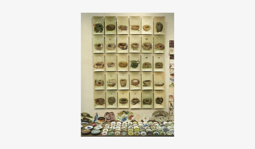 John Derian Company Inc, transparent png download