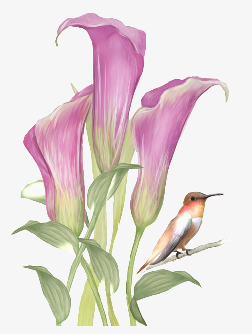 This Graphics Is Hand Drawn Flowers And Birds Pattern - Watercolor Painting, transparent png download