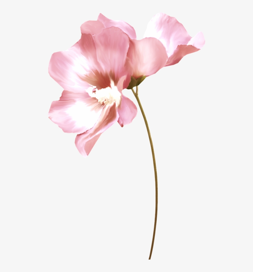 Álbum De Imágenes Para La Inspiración - Two Pinks Flowers On Watercolors Laptop Sleeve - 13", transparent png download