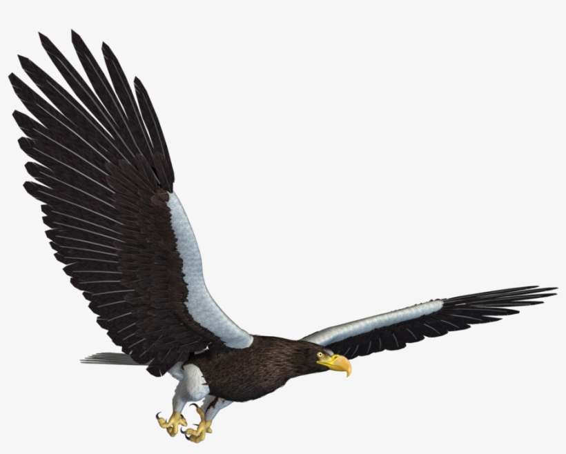 Eagle Png - Flying Eagle Jpg, transparent png download