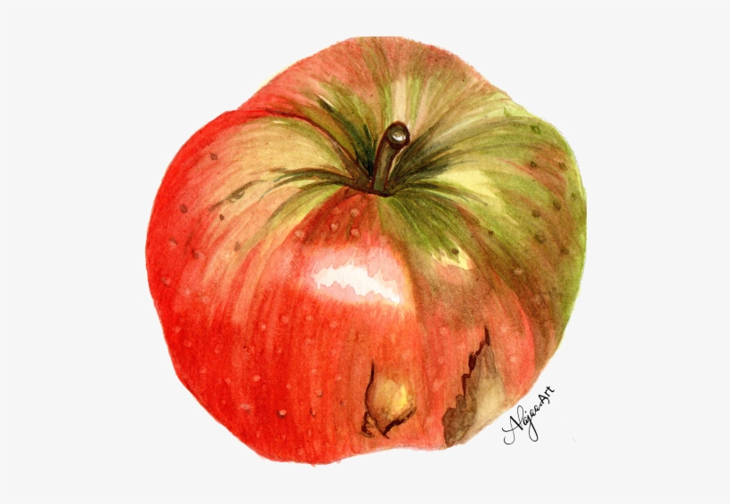 Watercolor Painting, transparent png download