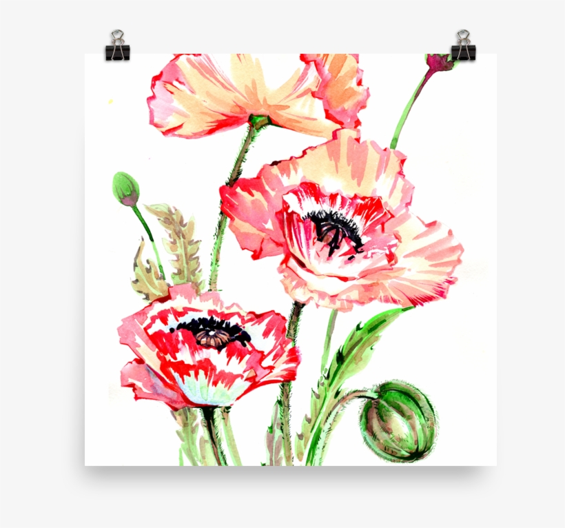 Bright And Floral Poppy Watercolour Matte Poster - Watercolor Painting, transparent png download