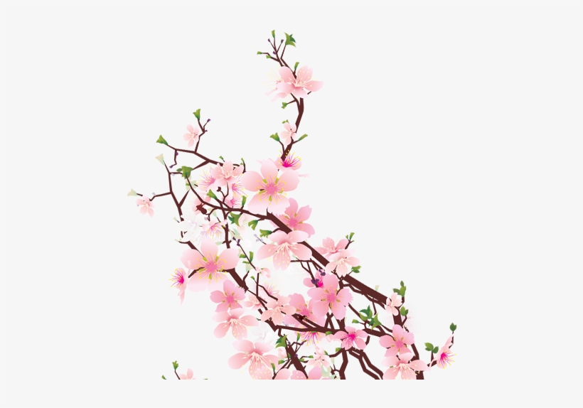 Cherry Blossom Png Images - Portable Network Graphics, transparent png download