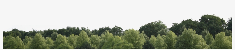 Tree Png Image - Portable Network Graphics, transparent png download