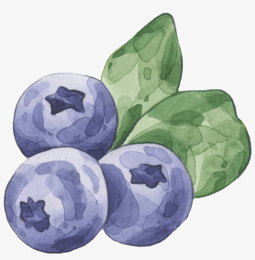 Beverly Swerling-living The Writing Lifeliving The - Watercolor Painting, transparent png download