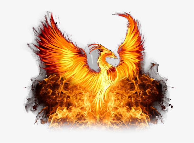 Phoenix Png Photos - Nxt Takeover Chicago 2018 Logo, transparent png download