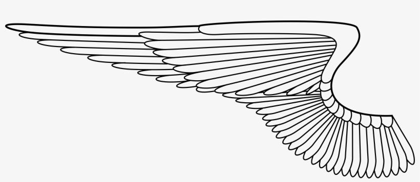 Wings Clipart Transparent Background - Macht Der Marke - Virales Marketing Verleiht Red Bull, transparent png download