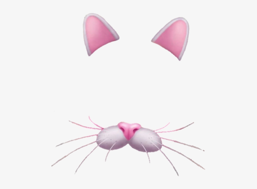 Snapchat Filters Free Download Png - Snapchat Filters Png, transparent png download