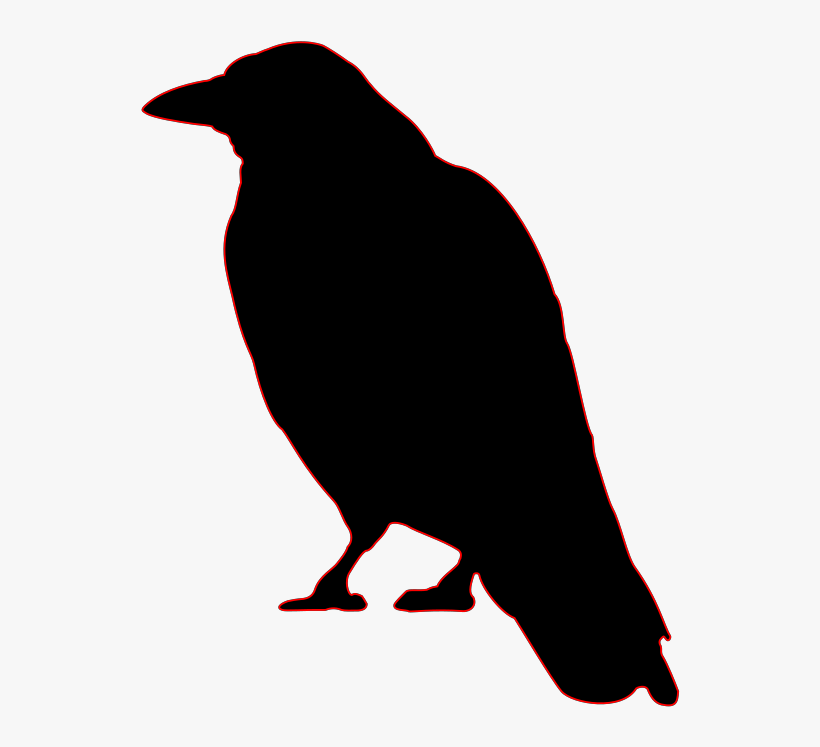 Crow - Crow Clip Art, transparent png download