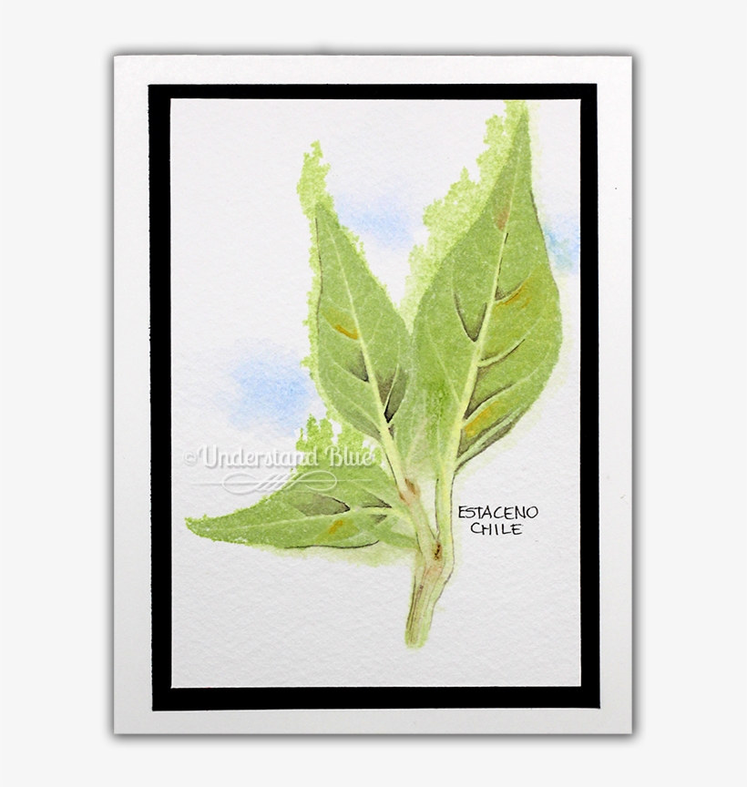 On This Finished Sample, I Added A Small Amount Of - Picture Frame, transparent png download