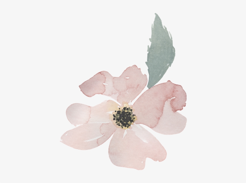 Once My Children Were Born, I Always Had My Camera - Artificial Flower, transparent png download