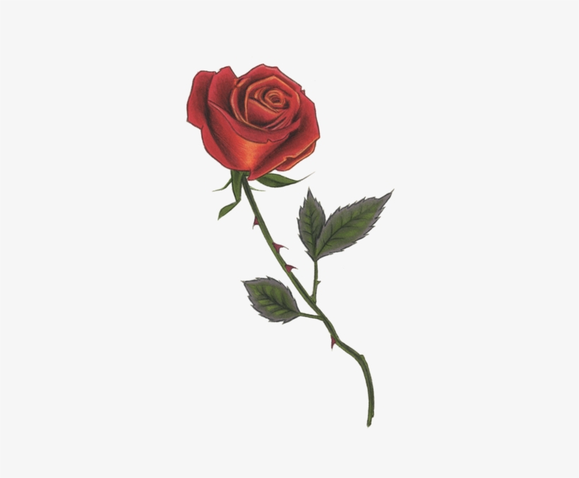 Red Rose - Tattly, transparent png download