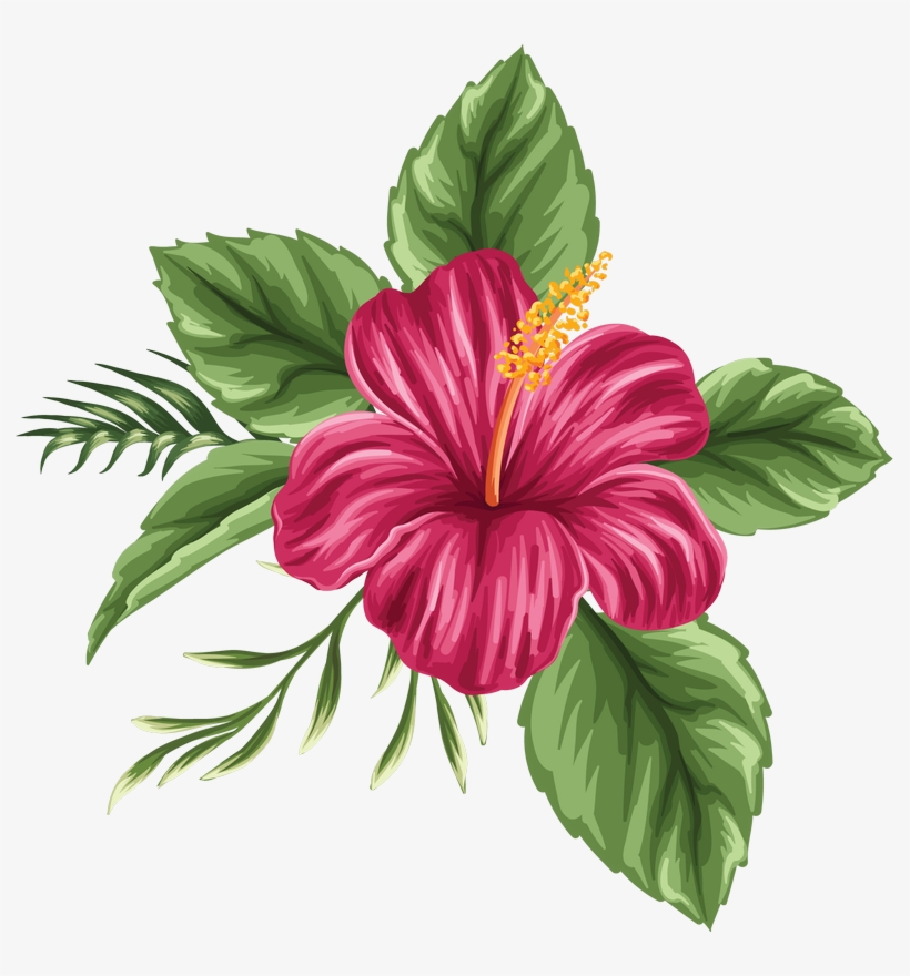 Image Du Blog Zezete - Flower Png, transparent png download