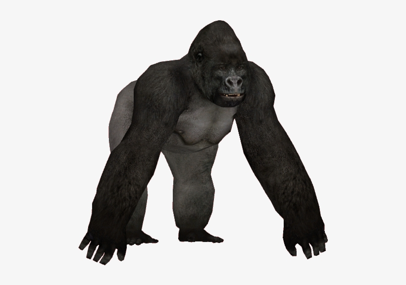 Gorillamjh - Wiki, transparent png download
