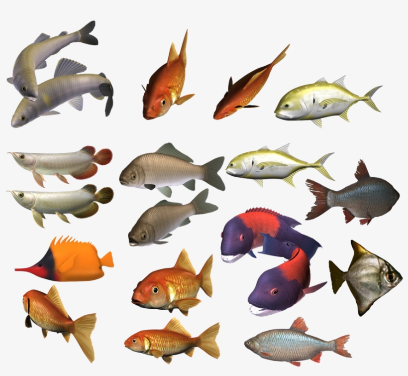 School Of Fish Png Image - School Of Fish Png, transparent png download