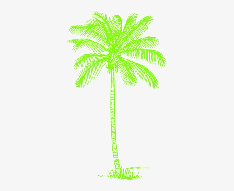 How To Set Use Green Palm Tree Clipart, transparent png download
