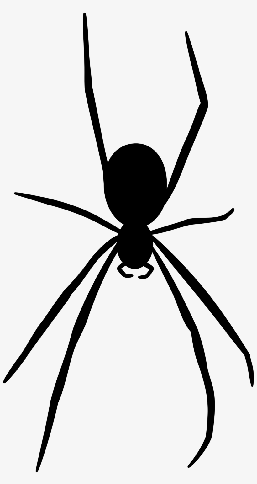 Spider Silhouette At Getdrawings - Silhouette Spider, transparent png download